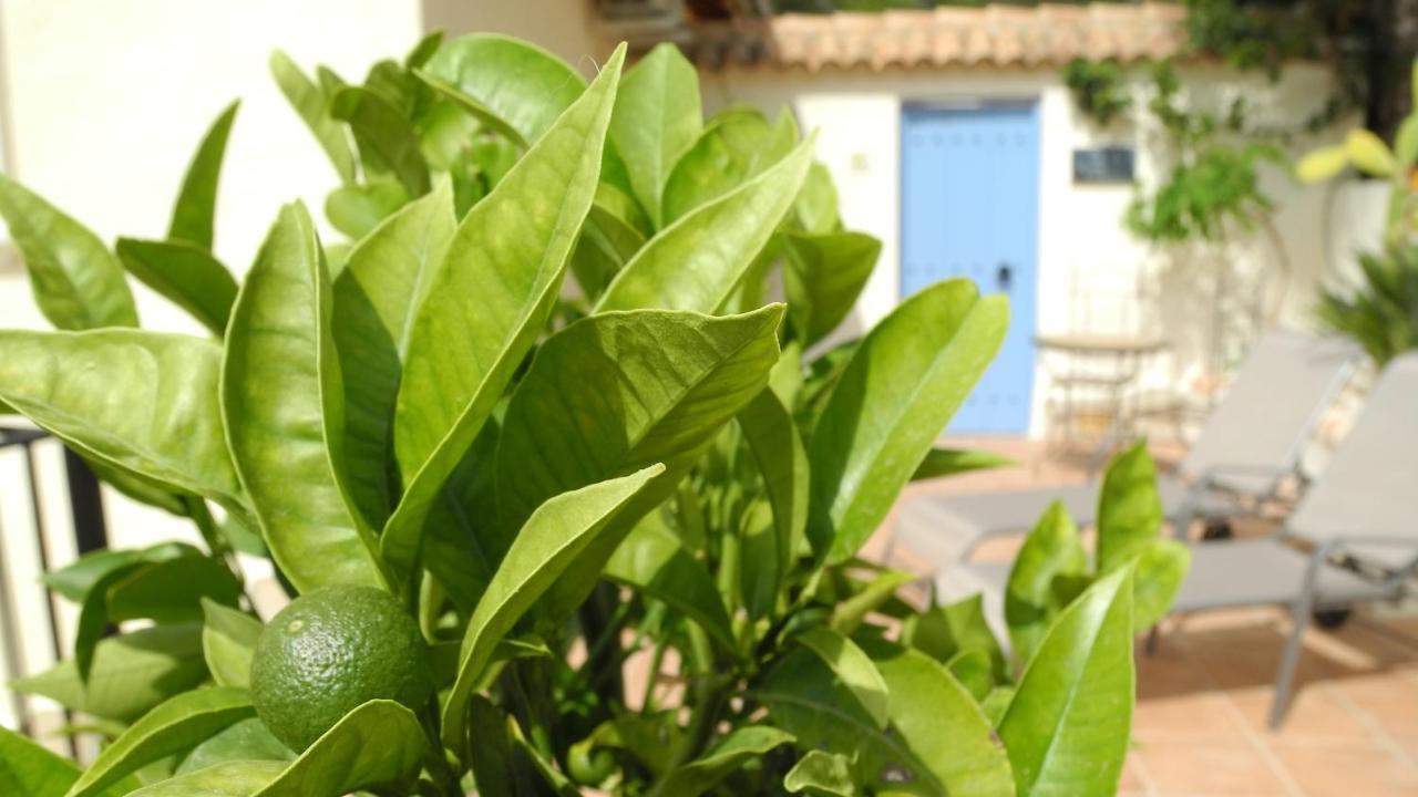 Casa Romero Lliber Esterno foto